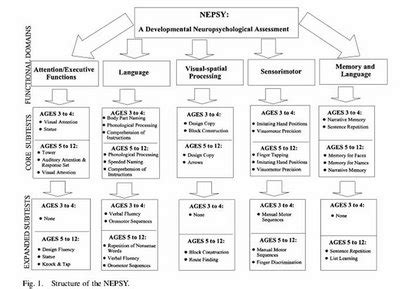 IQ's Corner: NEPSY test reviews and available CHC information - looking ...