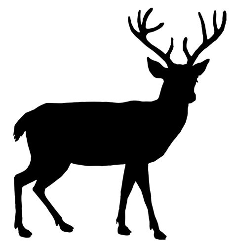 beautiful deer silhouette | Animal silhouette, Moose silhouette ...