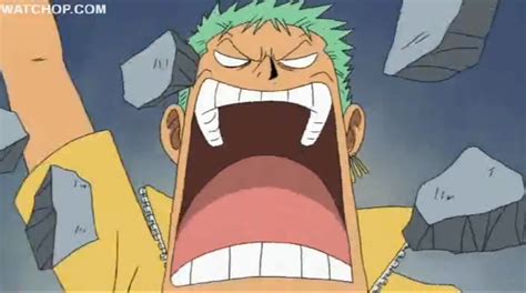 One Piece Zoro Luffy Scream - IMAGESEE