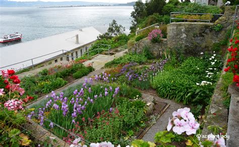 California Road Trip: Day 8 - The Gardens of Alcatraz - Ramblings from a Desert Garden