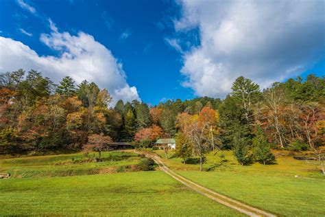 The Blue Ridge Scenic Railway Fall Foliage Train Ride In Georgia National Park Pass, National ...