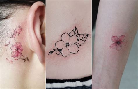 Cherry Blossom Tattoo Designs For Women