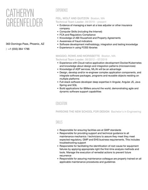 Technical Team Leader Resume Samples | Velvet Jobs