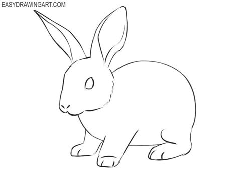 How to Draw a Rabbit | Easy Drawing Art | Rabbit drawing easy