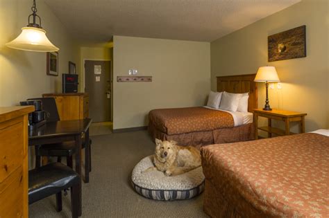 Fernie Pet Friendly Hotel Rooms-BC Canada Lodging | Red Tree Lodge