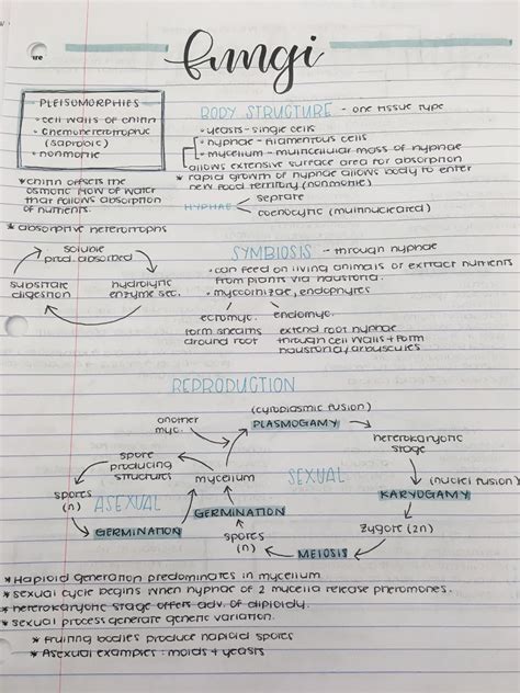 My friend’s biology notes : r/PenmanshipPorn