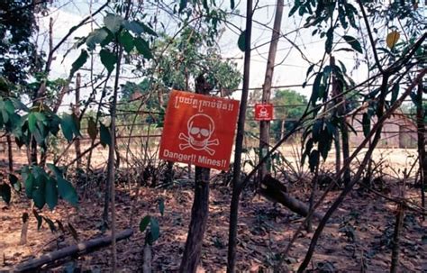 Experiment probes landmines’ effects on cells – Physics World