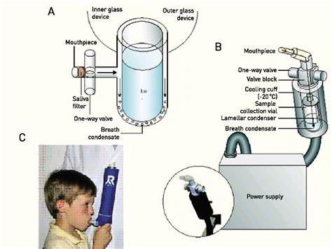 Figure 1 from Review: Analysis of exhaled breath condensate in ...