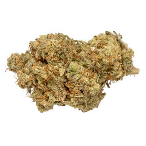 UK Cheese Strain | Buy UK Cheese Cannabis at Weed-Deals