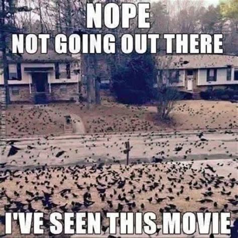 Horror Movie Memes | Others