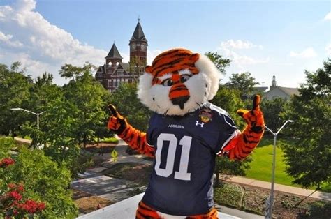 1000+ images about SEC the best mascots on Pinterest