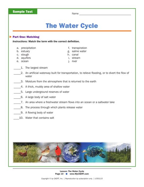 The Water Cycle Worksheet