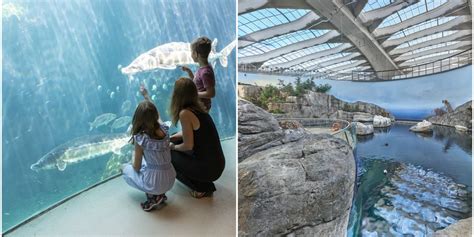 Here's What The Renovated Montreal Biodome Looks Like On The Inside (PHOTOS) - MTL Blog