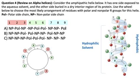 Solved Question 4 (Review on Alpha helices): Consider the | Chegg.com