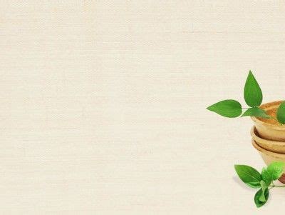 Pot Plant Background Wallpaper | Plant background, Plant background wallpapers, Powerpoint ...