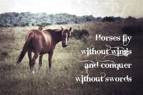 Horse Quotes Wallpapers - Wallpaper Cave