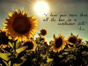 Sunflower Love Quotes - ShortQuotes.cc