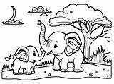 Elephants Coloring Pages Fun And Educational Activities For Kids sketch template
