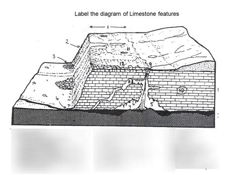 Limestone Pavement Diagram Diagram | Quizlet