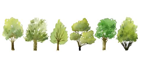 Watercolor Trees: Add Color, Shape, and Depth | Skillshare Blog