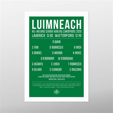 Limerick All Ireland Senior Hurling Champions 2020 by homebird.ie