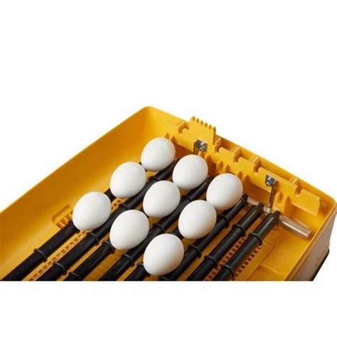 Parrot Egg Incubator at Rs 47040 | Sainikpuri | Hyderabad | ID: 2850215340562