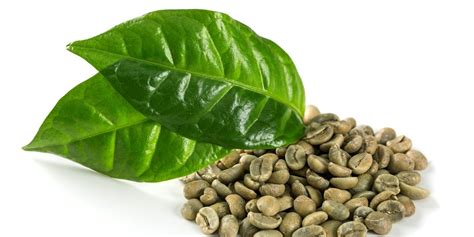 How Green Coffee Bean Processing Affects Flavor