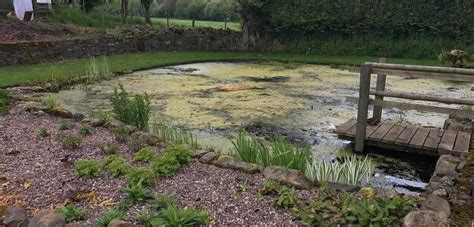 Pond Cleaning Services - | Pond Man