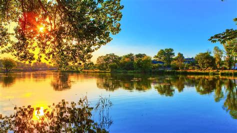 Wallpaper : nature, river, light, trees 1920x1080 - CoolWallpapers ...