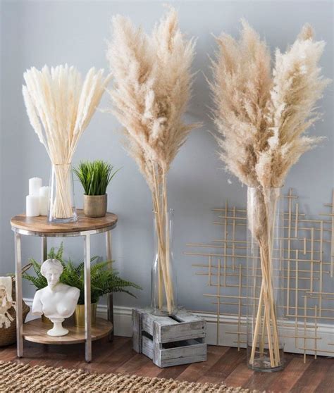 3 Gorgeous High Quality Pampas Grass Stems Pampas Grass | Etsy | Pampas grass, Decor, Pampas