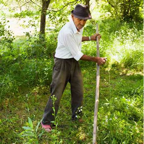 Mowing With a Scythe: Proper Equipment and Technique – Mother Earth News