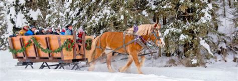 The Bar W Guest Ranch | Sleigh Rides | Whitefish, MT