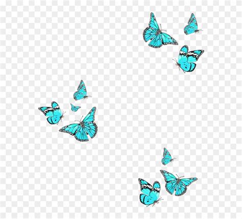 Freetoedit Remixit Butterfly Overlay Bluebutterfly - Butterfly Overlay Png, Transparent Png ...