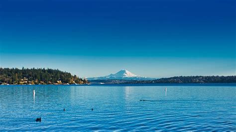 3 Best Hikes in Seattle