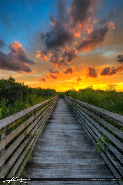 Boardwalk at Juno Beach Dunes During Sunset | Royal Stock Photo