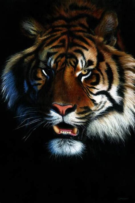 tiger-print | Tiger painting, Big cats, Wildlife art