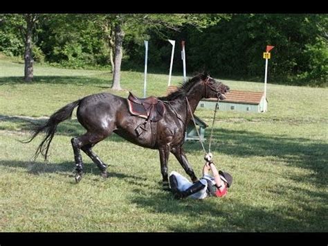 Bad Horse Riding Falls! - YouTube