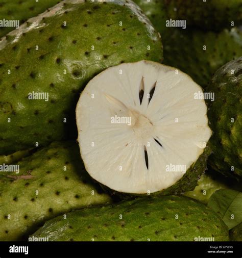 Jackfruit at the market, Southeast Asia Stock Photo - Alamy