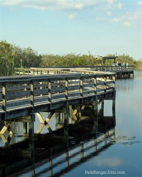 Anhinga Trail - Everglades National Park | Park Ranger John