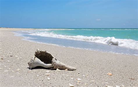 Cayo Costa State Park - WorldAtlas