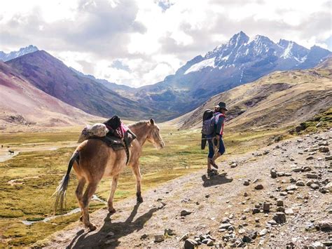 Rainbow Mountain Trek: 2 Day Tour with Ayni Peru - Brooklyn Tropicali | Rainbow mountain, Cusco ...