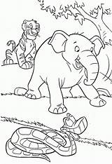 Zoo Scene Coloring Page Pages sketch template