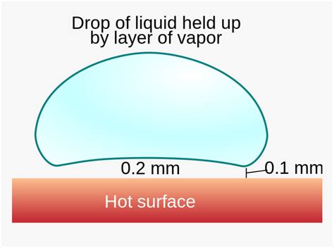 Diagram Leidenfrost Effect, HD Png Download , Transparent Png Image - PNGitem