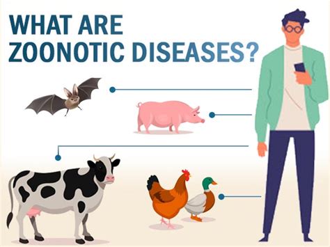 Zoonotic Diseases: Types, Risk Factors, Transmission And Prevention - Boldsky.com