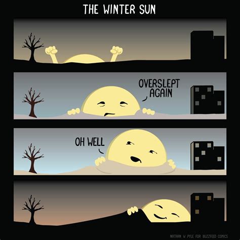 Winter sun | Super funny memes, Funny comics, Funny pictures