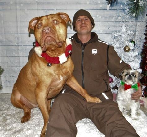 40 Times UPS Drivers Met The Cutest Dogs While On Duty, As Shared In ...