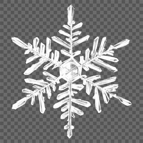 Download premium png of Snowflake png design element by Busbus about ...