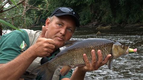 Lure Fishing For Chub - The Session - Fishing TV