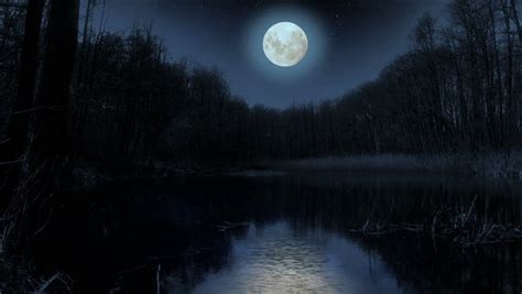 Moon Over The Lake At Night. Video Footage Of Bright Moon Over A Lake ...