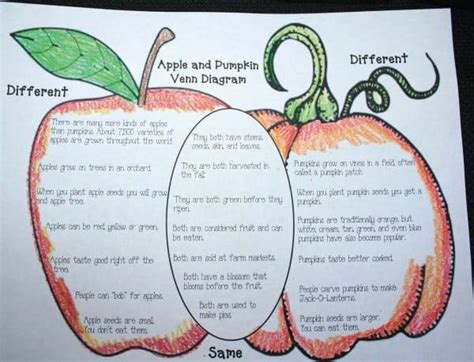 Free Printable Apple and Pumpkin Venn Diagram